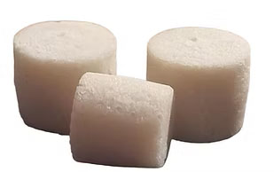 Coral Based Articular Cartilage Regeneration-2